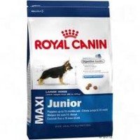 Maxi Junior 1 kg